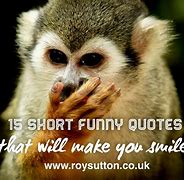 Image result for Cute Funny Sayings Quote