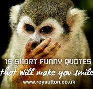 Image result for Things with Funny Sayings On Them