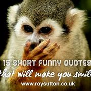 Image result for Funny Real Quotes