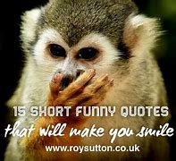 Image result for Quotes Funny Hilarious