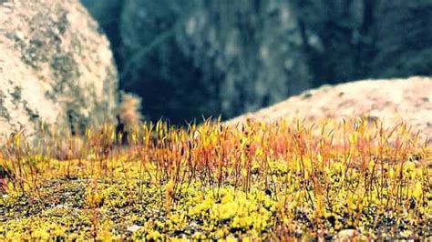 Image result for Performance Evaluation Methods Machine Learning