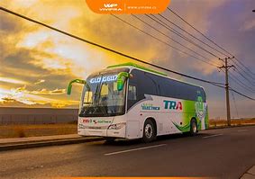 Image result for Logo TCL Bus