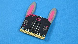 Image result for Micro Bit Animals