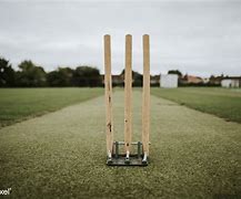 Image result for Cricket Wicket