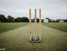 Image result for Cricket Wicket