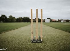 Image result for Wicket Bails
