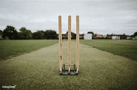 Image result for Cricket Wicket Chain
