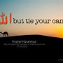 Image result for Islamic Quotes Laptop Wallpaper