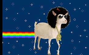 Image result for Nyan Goat