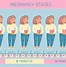 Image result for Three Stages of Pregnancy