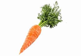 Image result for Carrot White Background