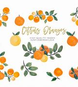 Image result for Orange Design Clip Art
