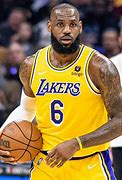 Image result for LeBron Woods Messi