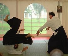 Image result for Mental Aikido