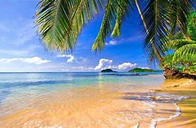 Image result for Tropical Screensavers Free Windows 10