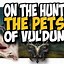 Image result for Hunter Pets