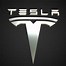 Image result for Car Brands. Sign Tesla