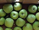 Image result for Tiny Green Apples