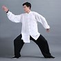 Image result for Tai Chi Kung Fu Master
