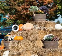 Image result for Halloween Allentown PA