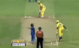 Image result for Cricket Out GIF