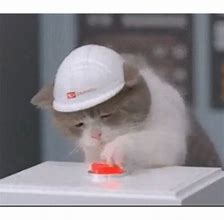 Image result for Cat with a Button Meme