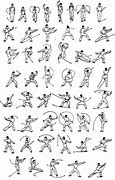 Image result for Basic Chinese Martial Arts
