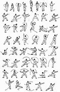 Image result for Chinese Martial Arts Fighting Techniques