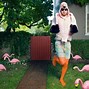 Image result for Pink Flamingos at RV Parks