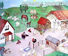 Image result for Domace Zivotinje Prvi Razred