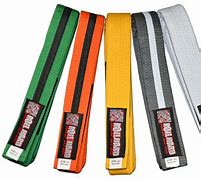 Image result for BJJ Jiu Jitsu Belt