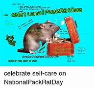 Image result for Pack Rat Meme