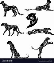 Image result for Cheetah Vector