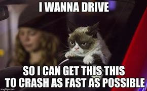 Image result for Car Accident Cat Meme
