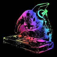 Image result for Rabbity Face EDC Music