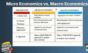 Image result for +What Is the Difference Between Macroeconomicsand Microeconomics