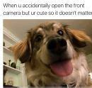 Image result for Cute Dog Memes