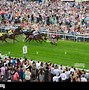 Image result for Horse Race Finishing Line