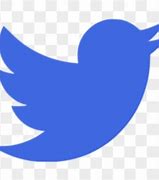 Image result for Blue Twitter Logo