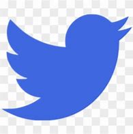 Image result for Baby Blue Twitter Icon