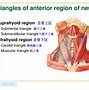 Image result for Blunt and Sharp Dissection