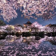 Image result for Great Places in Japan