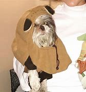 Image result for Dog Dressed Up as Ewok