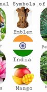 Image result for Country National Symbol