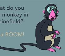 Image result for Funny Monkey Humor