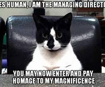Image result for Cat Boss Meme
