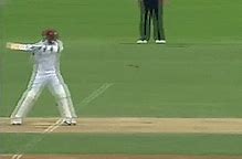 Image result for Cricket GIF Aus