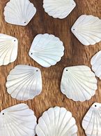 Image result for Mother of Pearl Clam Shell
