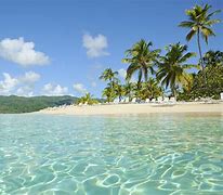 Image result for Tropicalia Republica Dominicana