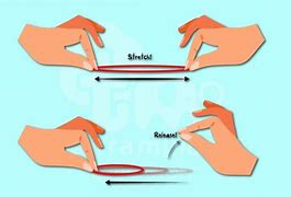 Image result for Iwatch Series 5 44Mm Band Change